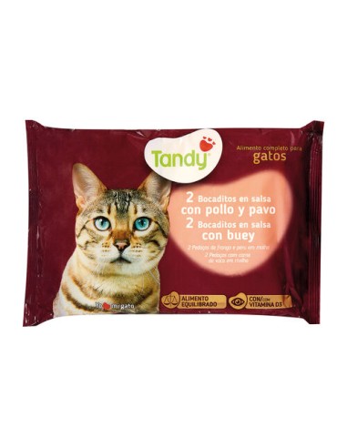 COM.GATO SOBRE BUEY,TANDY X4