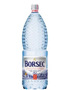 AGUA MINERAL BORSEC   2 L 