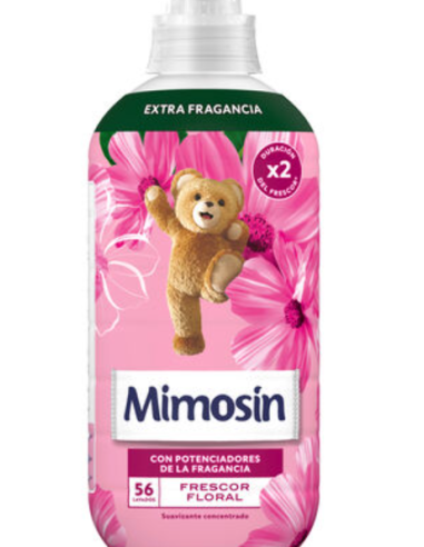 CONC.FRESCOR FLORA, MIMOSIN  56L.