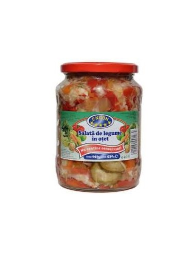 ENSALADA DE VERDURA EN VINAGRE 650G