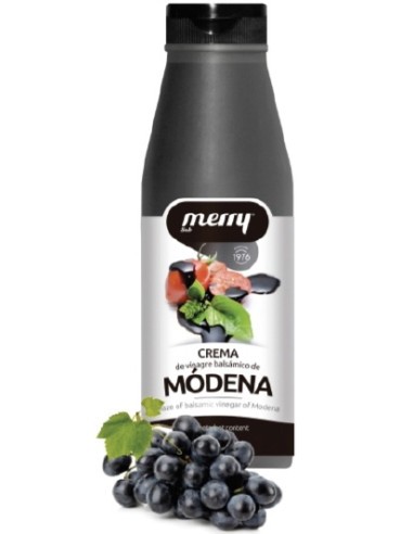 VINAGRE MERRY  250GR.CREMA MOD