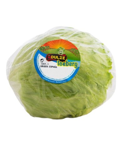 LECHUGA ICEBERG