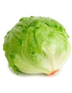 LECHUGA ICEBERG 2