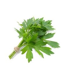 LEUSTIAN FRESCO  EXTRA