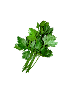 PEREJIL EXTRA