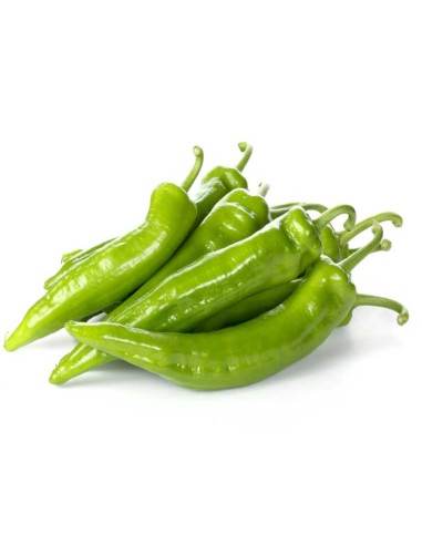 PIMIENTO  ITALIANO EXTRA