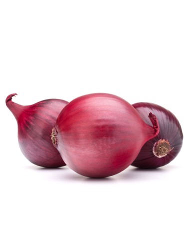CEBOLLAS ROJA A GRANEL 