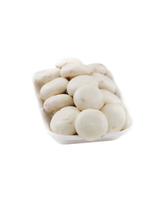 CHAMPIÑON BANDEJA ENTERO