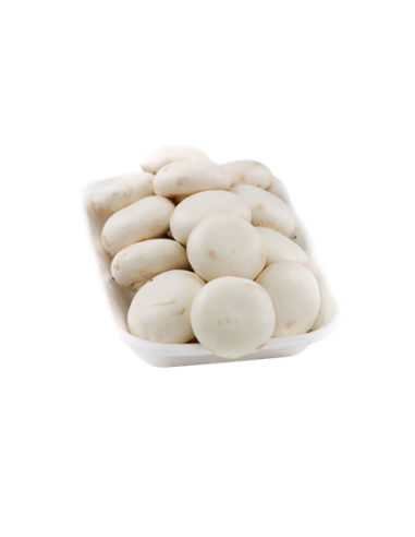 CHAMPIÑON BANDEJA ENTERO