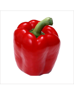 PIMIENTO ROJO EXTRA