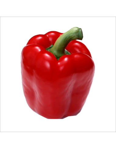 PIMIENTO ROJO EXTRA