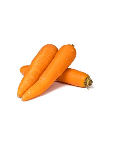 ZANAHORIA EXTRA