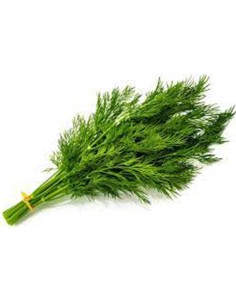 ENELDO FRESCO  EXTRA