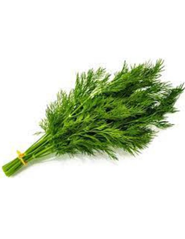 ENELDO FRESCO  EXTRA