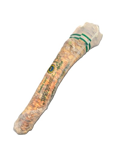 RABANO PICANTE DAIKON