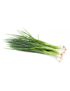 CEBOLLA CHINA FRESCA