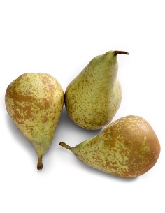 PERA  CONFERENCIA EXTRA