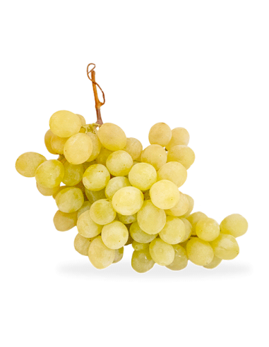 UVA BLANCA SIN EXTRA