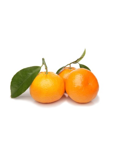 MANDARINA DE CAMPO   EXTRA