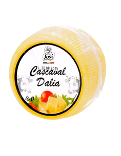 QUESO CURADO DALIA .JOSI 200G