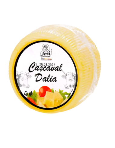 QUESO CURADO DALIA .JOSI 200G