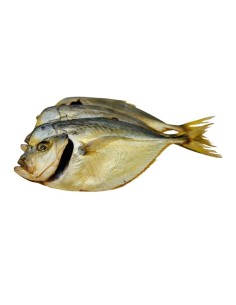 PALOMETA AHUMADA EN FRIO
